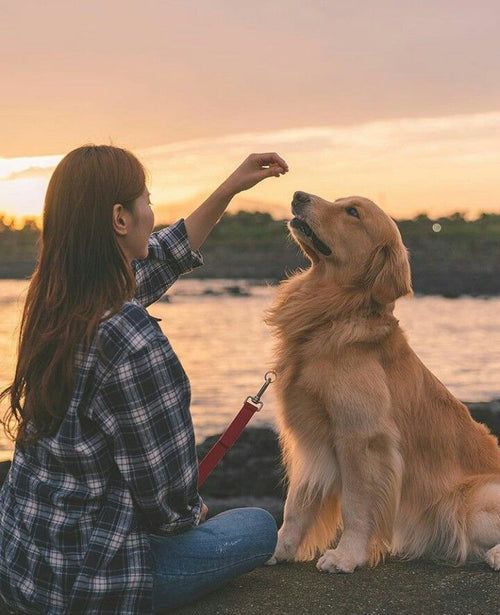 @luna_maine